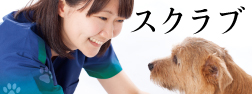 スクラブ